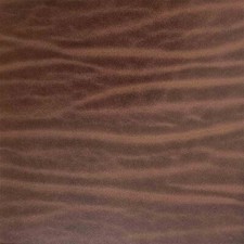 Morceau de cuir de collet