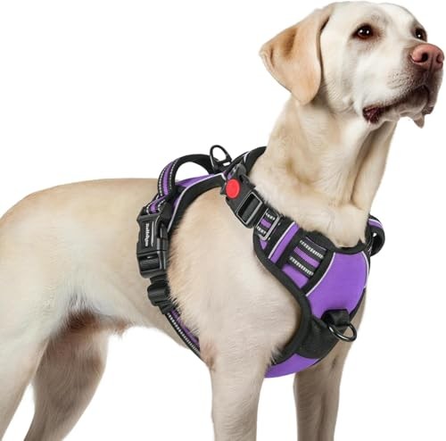 Harnais réglable pour chien - harnais,