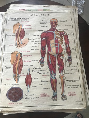 Ancienne carte scolaire mdi - ancienne,
