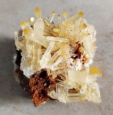 159g Rare Quartz Mango