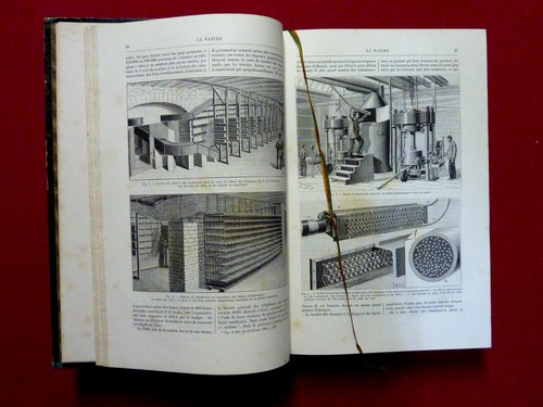Année 1895 nature revue - 1895,