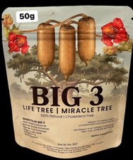 Kigelia Africana Male