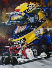 PLAQUE MÉTAL F1 FORMULE 1 AYRTON SENNA   30X20 CM 
