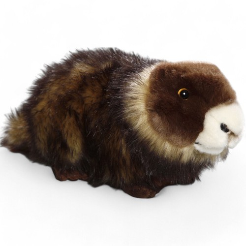 Carl dick marmotte couchée - carl,