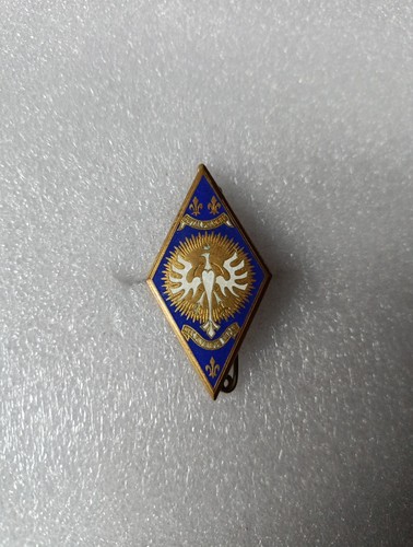 Insigne cavalerie 5 - insigne,