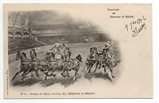 LE CIRQUE et ses thémes