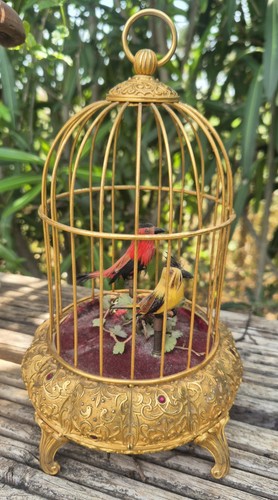 Oiseaux automate eschle - oiseaux,