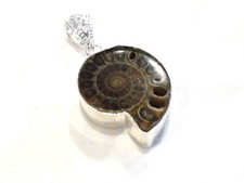 Bijou pendentif pierre fossile