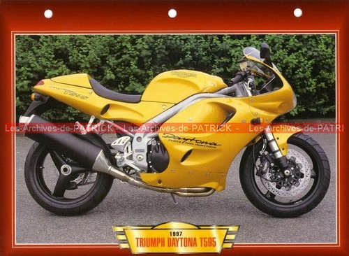 Triumph daytona 595 - t, t595
