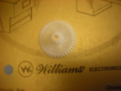 Flipper williams - flipper,