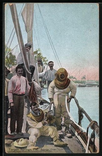 Carte postale tarpon springs - carte,