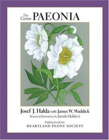 The genus paeonia - paeonia, halda