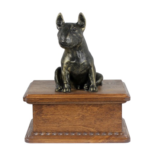 Bull terrier petite - bull, avec