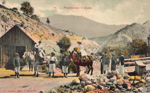 Promenade mulet - 38,