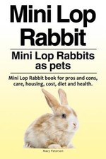 Mini Lop Rabbit. Mini Lop Rabbits as pets. Mini Lop Rabbit book for pros and