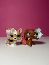 🌸 Littlest Pet Shop #640
