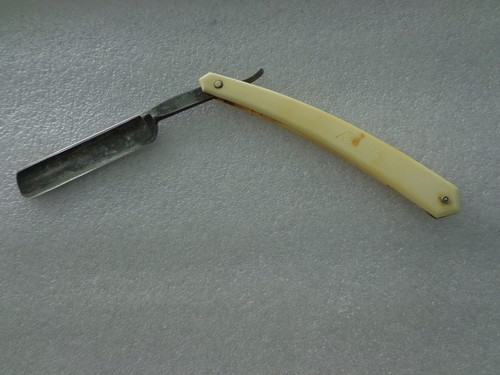 Coupe choux dandy thiers - choux,
