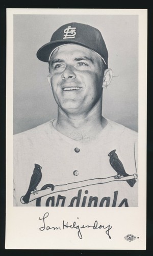 1970 louis cardinals - 1970,