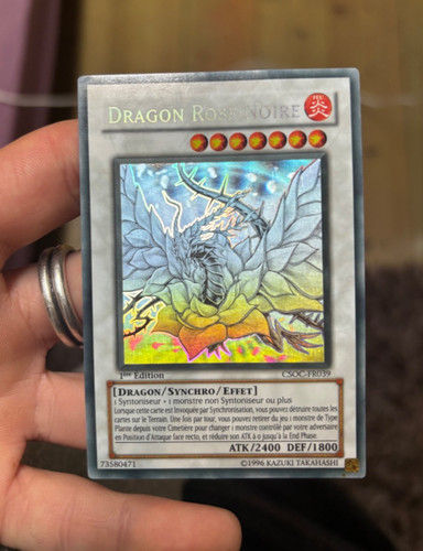 Dragon rose noire - dragon,