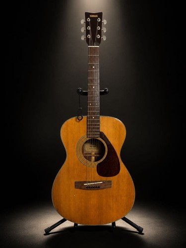 Guitare acoustique vintage