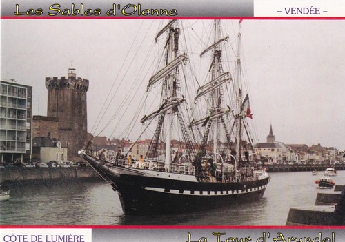 Carte postale postcard - 🦬carte,