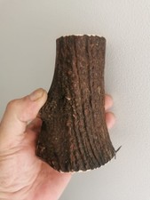 315..CORNE DE CERF ROUGE