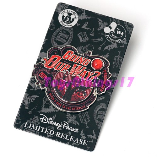 Disney parks going our - our, pin