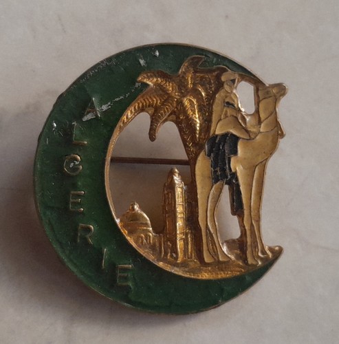 Insigne sahara méhariste - sahara,