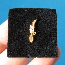 Minéraux *** PEPITE D'OR