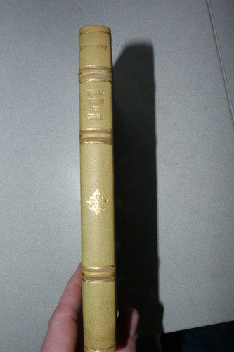 Baudelaire petits poèmes en - -,