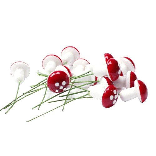 100 champignon jardin - champignon, de