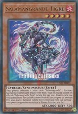 Yu-Gi-Oh! Salamangrande Tigre : UR LD10-FR003