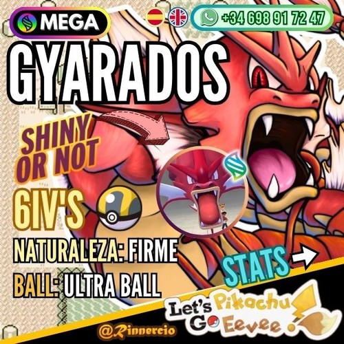 Gyarados compétitifs shiny - «,