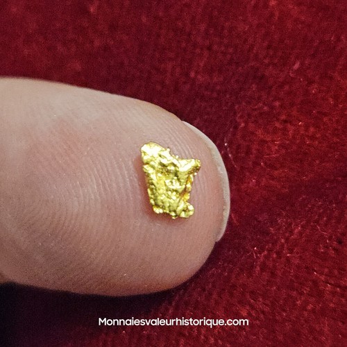 Pépite naturelle - d’or,