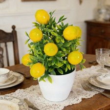 Pot Plastique avec Mousse