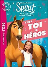 Livre Aventures Sur Mesure - Spirit - Au Galop En Toute Liberté