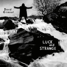 Vinyle - DAVID GILMOUR - Luck