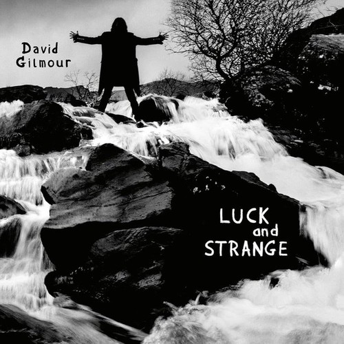 Vinyle david gilmour - david,