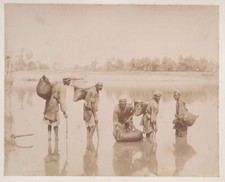 PHOTOGRAPHIE ALBUMINÉE EGYPTE