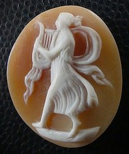 CAMEE COQUILLE Ca 1900. MUSE