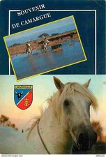 Animaux - Chevaux - Camargue - Gardians et Taureaux - Cheval Camarguais - Blason