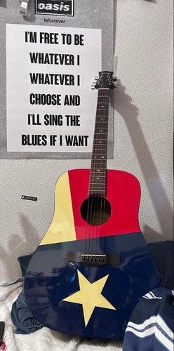 Guitare acoustique silver tone - acoustique,