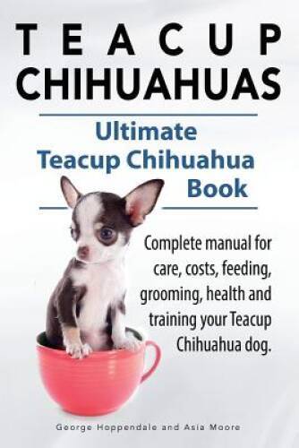 Teacup chihuahuas - teacup,