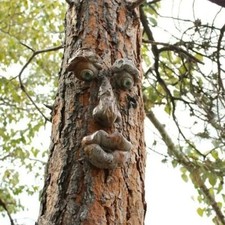 Outdoor Tree Face Statue –