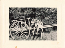 ANCIENNE PHOTOGRAPHIE TRIO