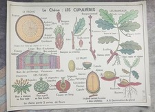 Années 60. MDI Carte Scolaire