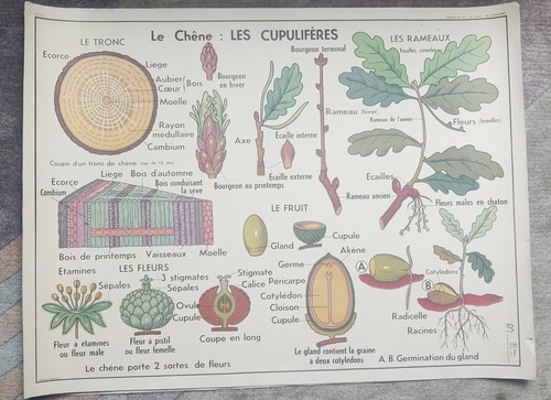 Années mdi carte scolaire - 60.,