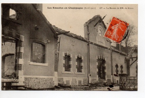 Champagne cpa vins - 51, vignes