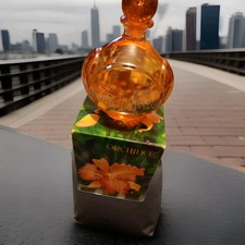 Eau De Toilette 100ml