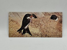 Nestlé MERVEILLES DU MONDE Carte N°69 "L'hirondelle de fenêtre" b